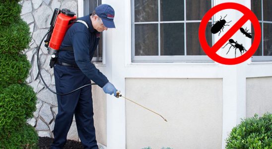 Yenifoça Haşere İlaçlama böcek ilaçlama ve haşere kontrolü — ilaclama-tr.com